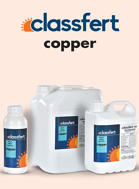 CLASSFERT COPPER