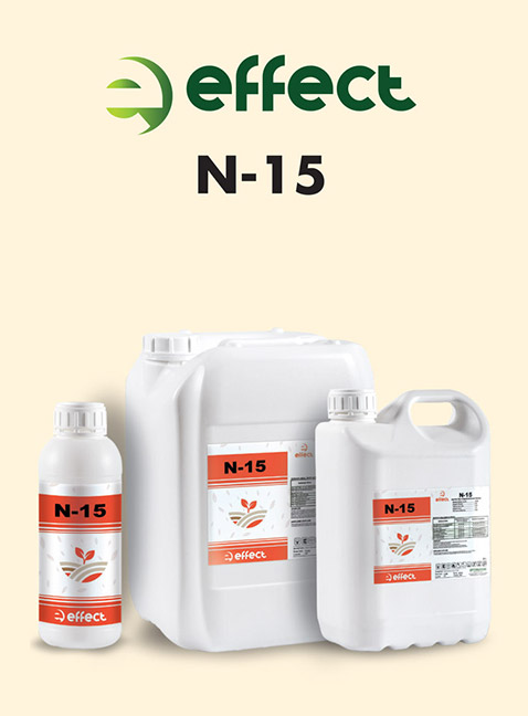 EFFECT N-15