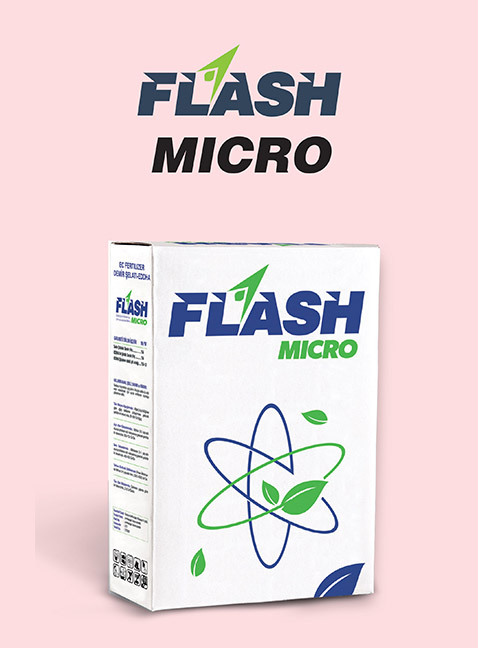 FLASH MICRO