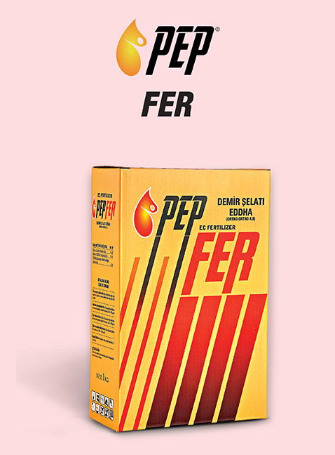 PEP FER