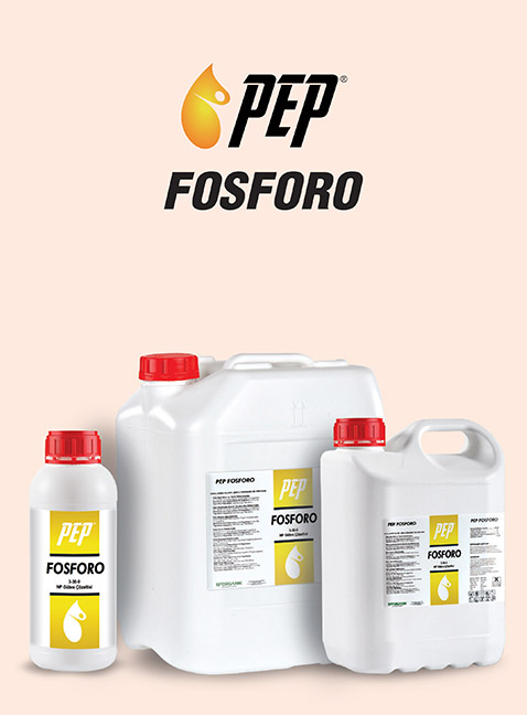 PEP FOSFORO